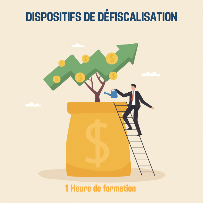 Dispositifs de défiscalisation - 1H (im)