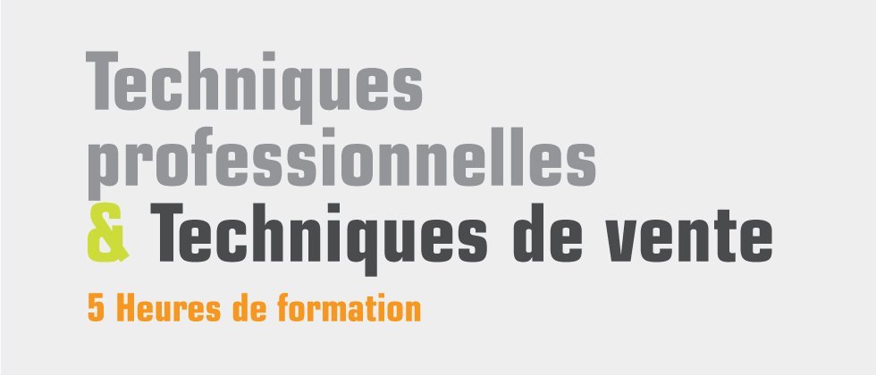 Techniques professionnelles & Techniques de vente Techniques professionnelles & Techniques de vente