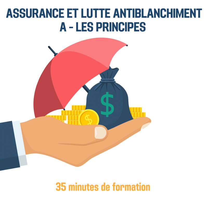 Assurance et lutte antiblanchiment - A - Les principes - 0H35 (as)