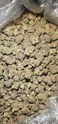 Grease Monkey 