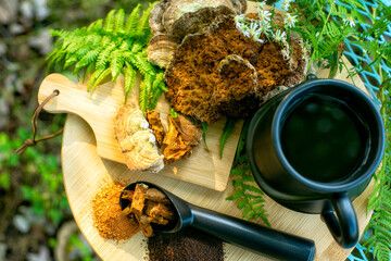 Mushrooms/  Adaptogen/  Nootropics