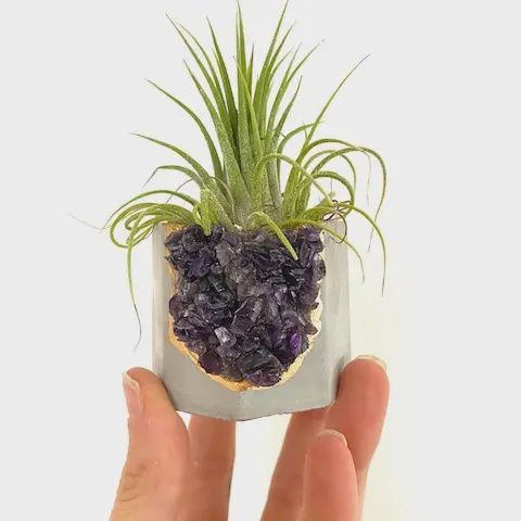 Amethist Crystak &amp; Fluorite Crystal Planter with Air Plant
