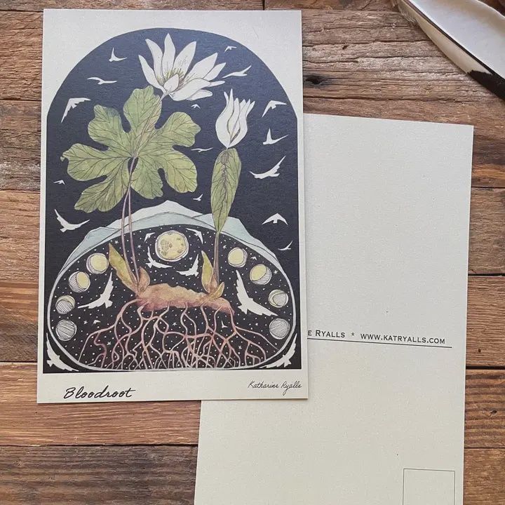 Bloodroot Postcard, 4x6&quot; On Hemp, Recycled, Oracle