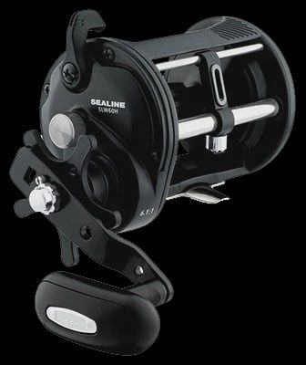 Amazon.com : Daiwa Sealine Conventional Levelwind Reel