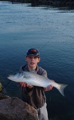 5/2/25 On the Board!