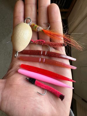 4/25/25 Dancing Worms!