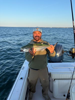 9/12/25 Mullet Dip!