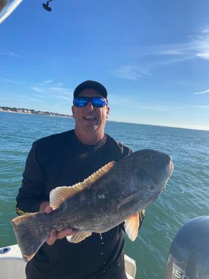 10/3/25 Swell You Later