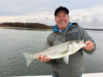 11/14/25 Cold, Wet, and Still Biting