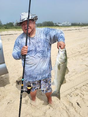 9/29/23 The Bite That Never Ends!