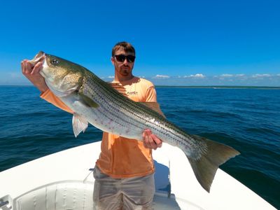 7/14/23 So Many Choices!