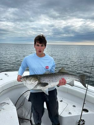 6/9/23 Smoke has Lifted!