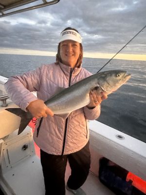 10/27/23 Trick or Treat - Fish &amp; Bait are Here!