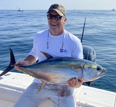 8/18/23 No More Dog Days