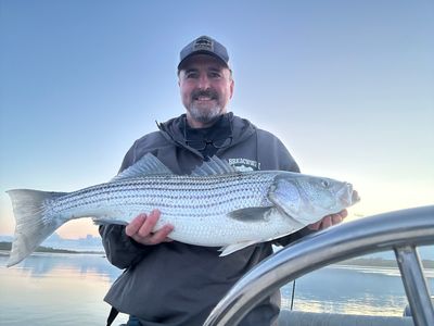 Tom Striper