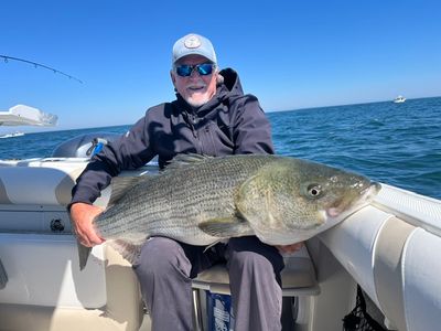 7/3/26 Red White &amp; Golden Sea Bream