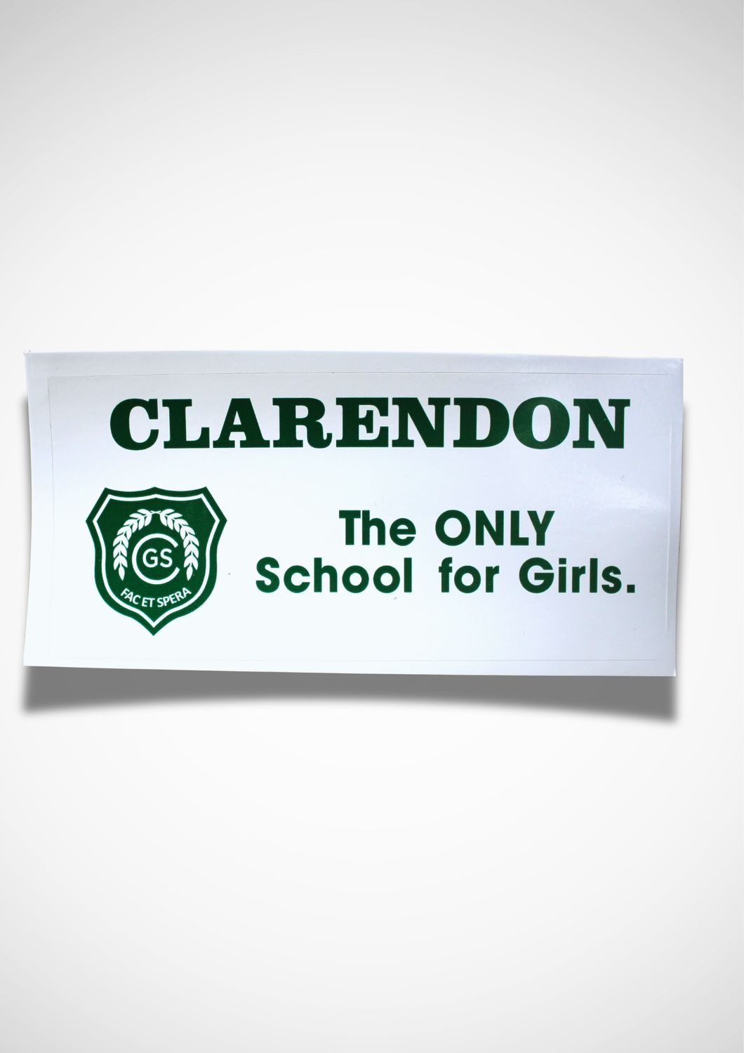 Bumper Sticker