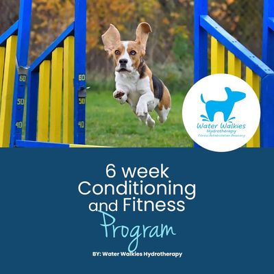 Conditioning and Fitness Program - Information Booklet