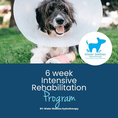 Intensive Rehab Program - Information Booklet