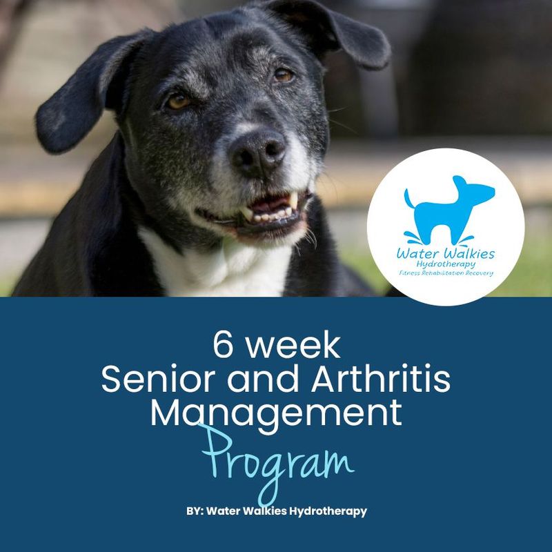 Seniors and Arthritis Management Program