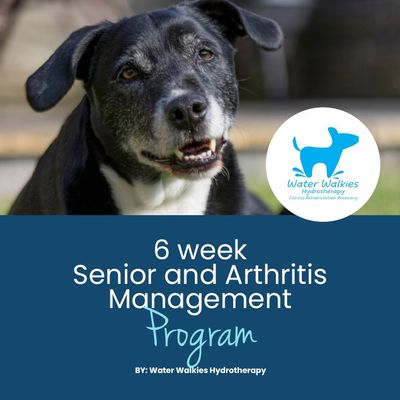 Seniors and Arthritis Management Program - Information Booklet
