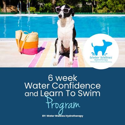 Water Confidence and Learn to Swim Program - Information Booklet