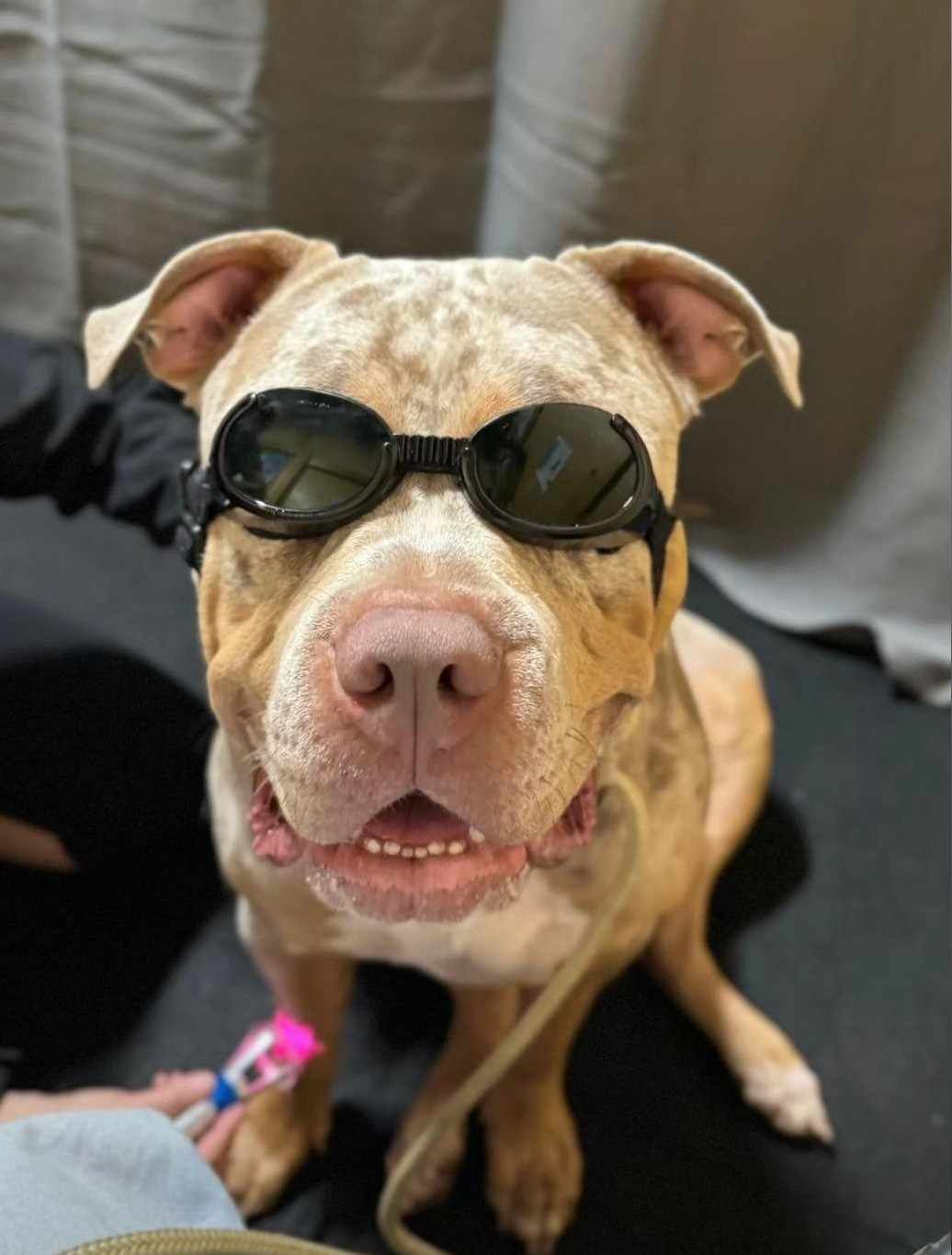 Laser Therapy