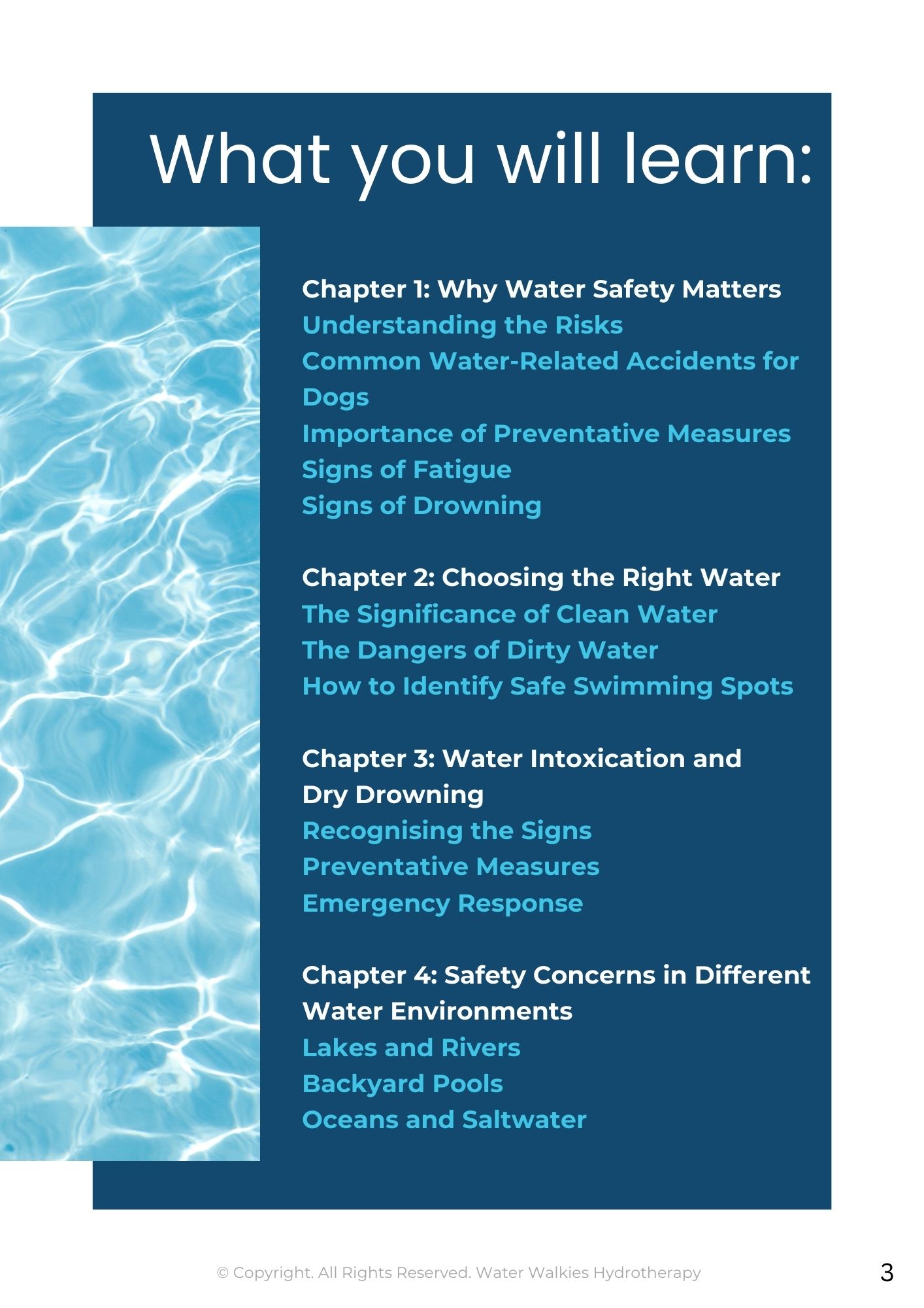 Dive in Safely: A Guide to Water Safety for Dogs