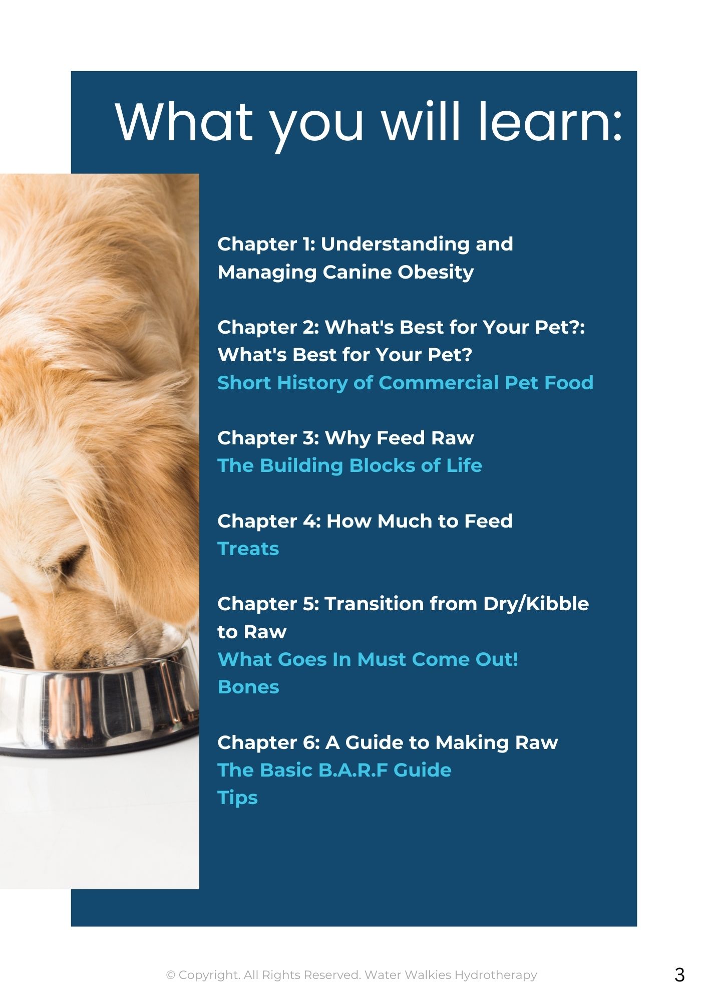 Insights on: Canine Nutrition and Weight Management
