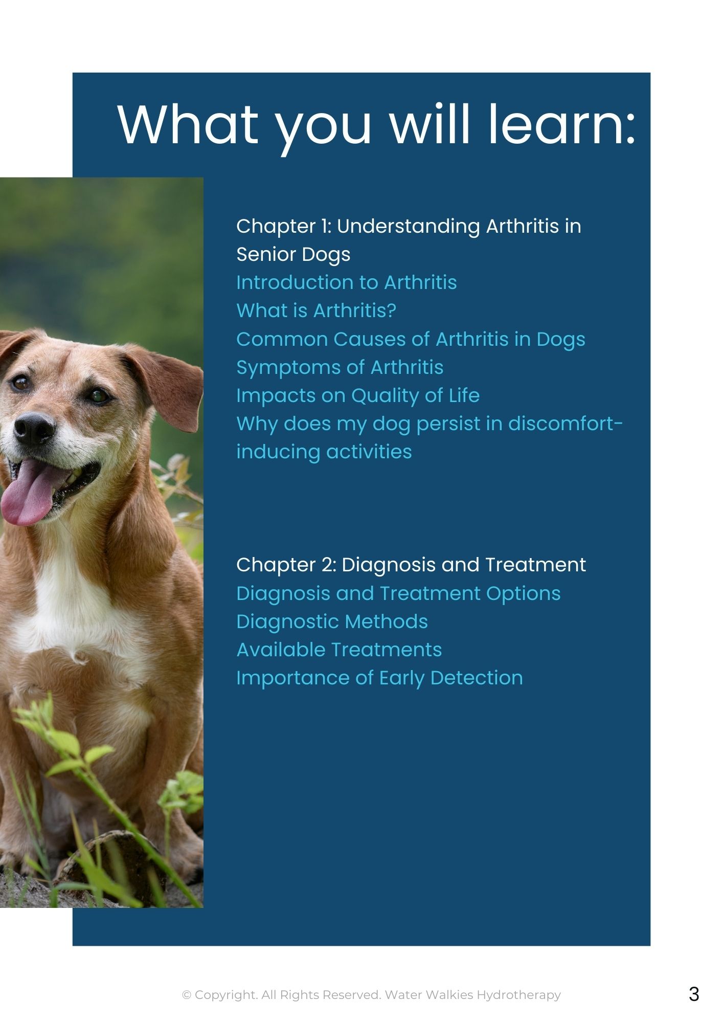 Seniors and Arthritis Management