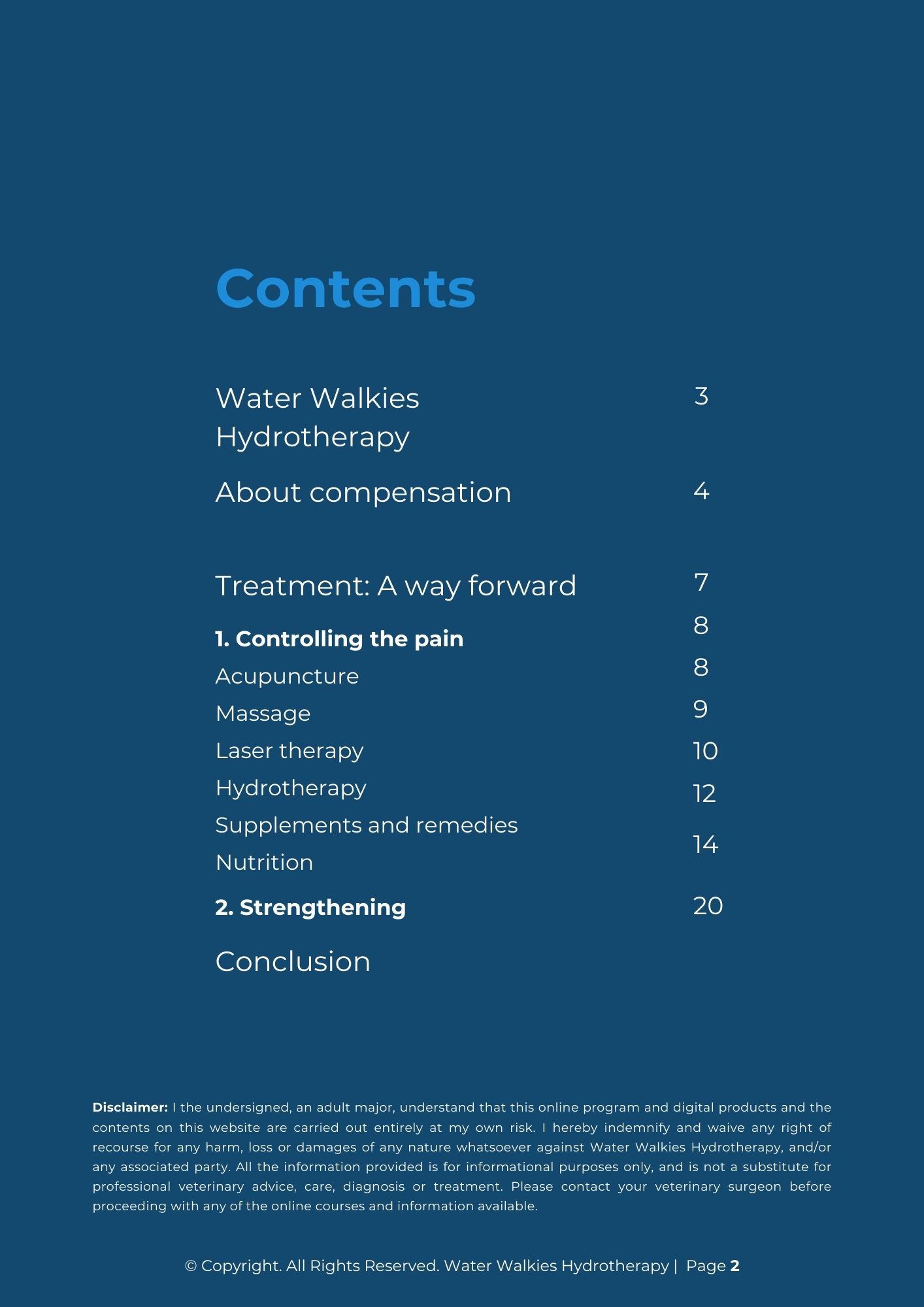 Managing Joint Pain in Pets