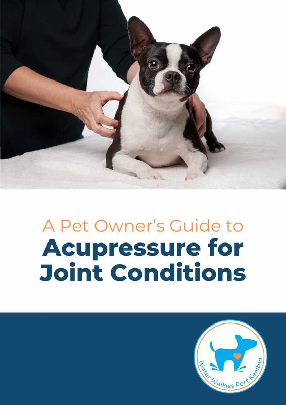 A Pet Owner's Guide to Acupressure for Joint Conditions