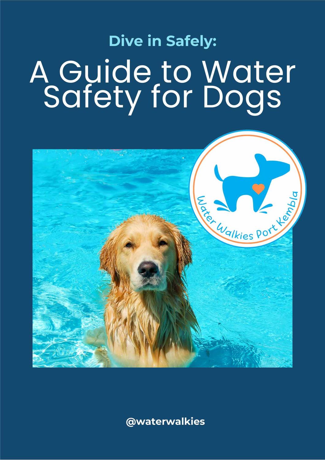 Dive in Safely: A Guide to Water Safety for Dogs