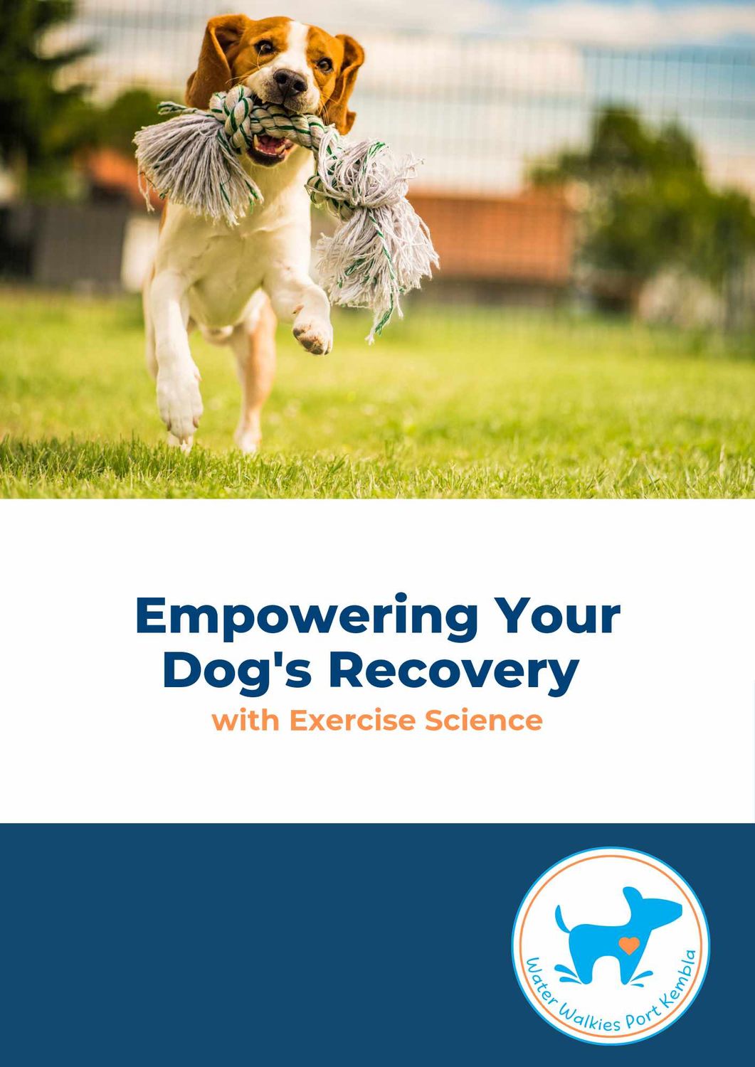 Empowering Your Dog's Recovery