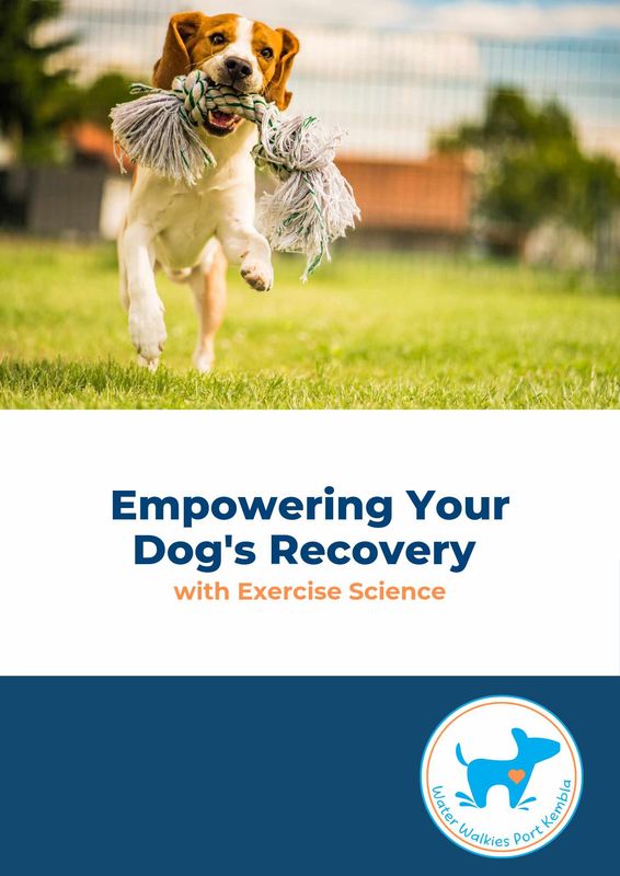 Empowering Your Dog's Recovery
