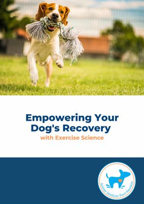 Empowering Your Dog's Recovery