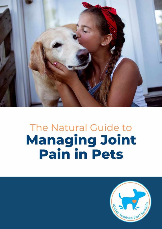 Managing Joint Pain in Pets