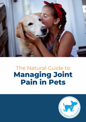 Managing Joint Pain in Pets