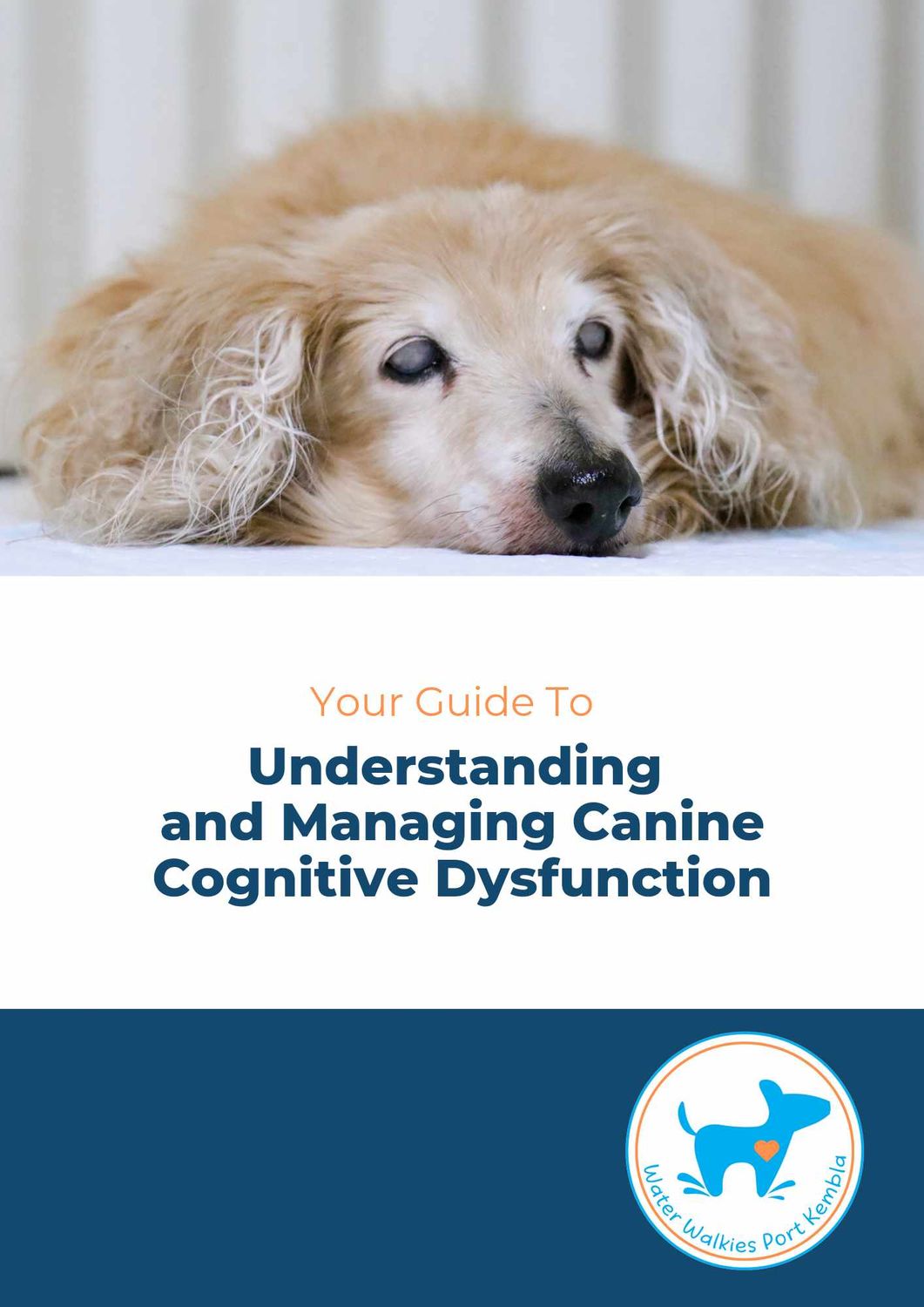 Your Guide To Understanding and Managing Canine Cognitive Dysfunction