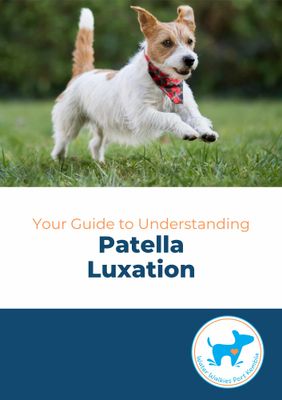 Your Guide to Understanding Patella Luxation