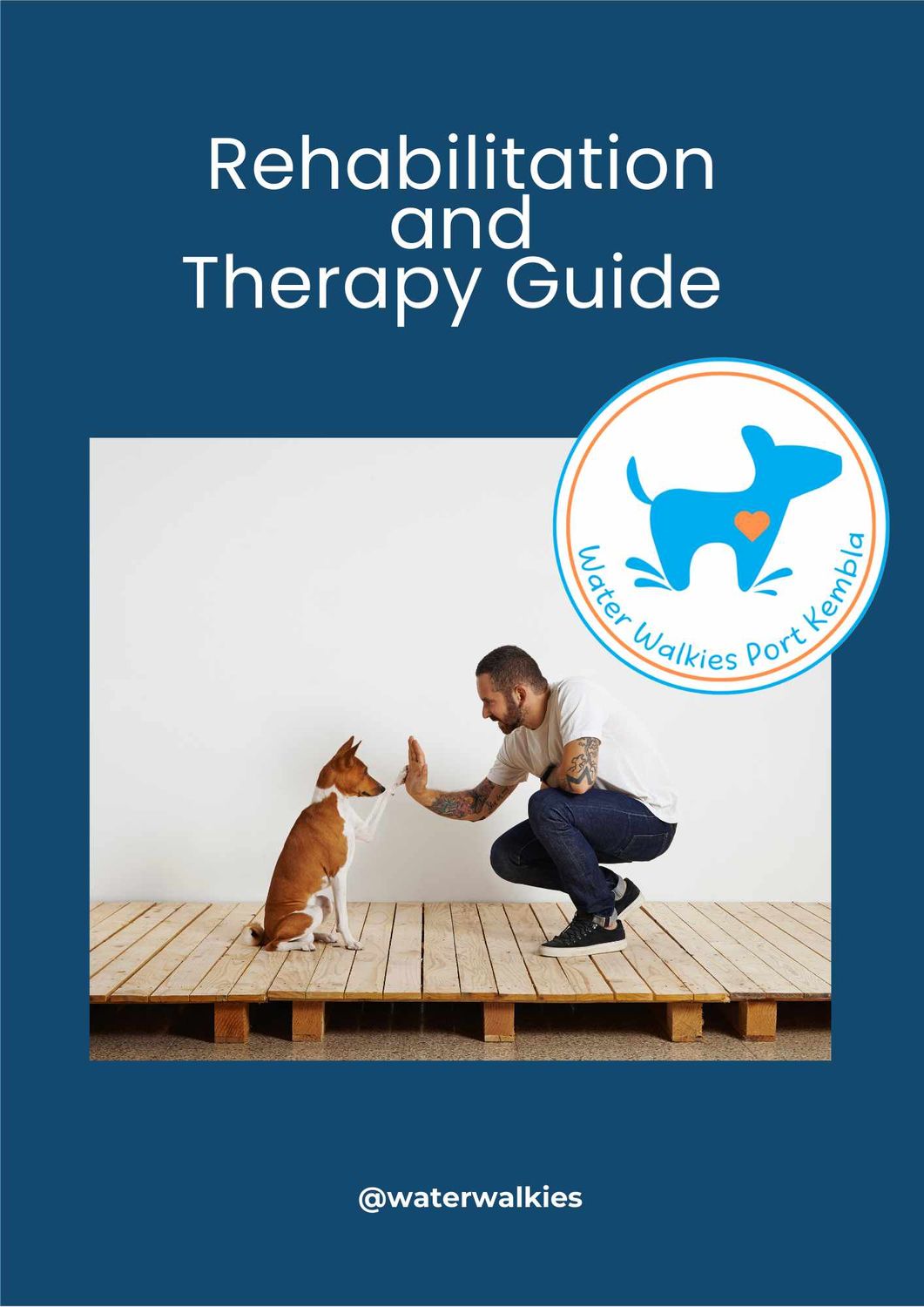Rehabilitation and Therapy Guide