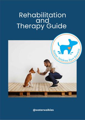 Rehabilitation and Therapy Guide