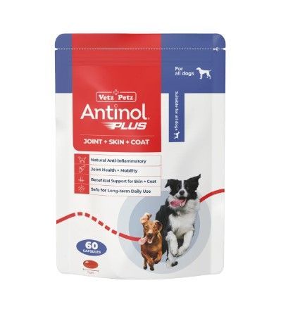 Antinol Rapid