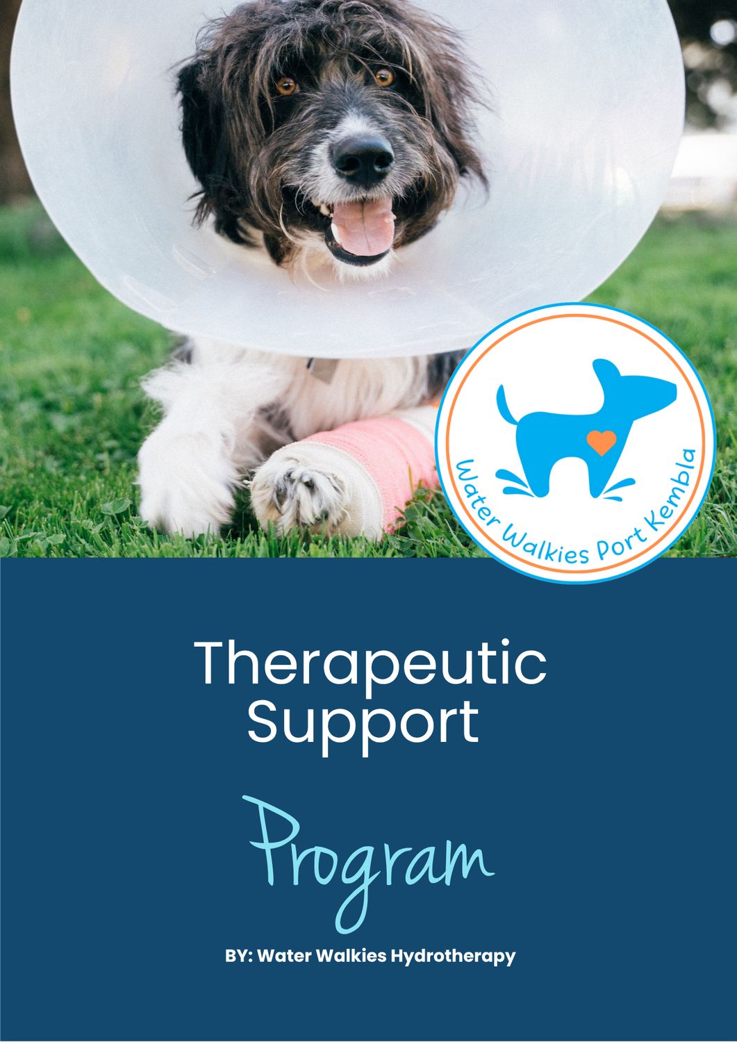 Therapeutic Support Program - Information Booklet