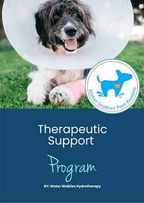 Therapeutic Support Program - Information Booklet