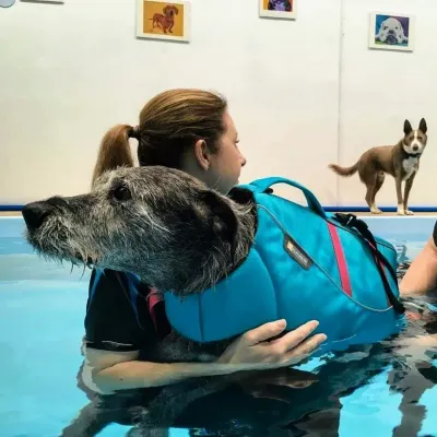 Pool Swim - 10 visit packs*