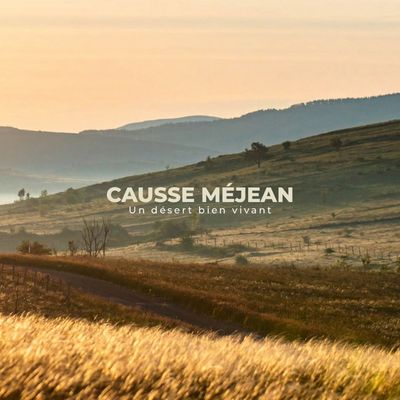 Livre Le Causse Méjean, un désert bien vivant Livre Le Causse Méjean, un désert bien vivant