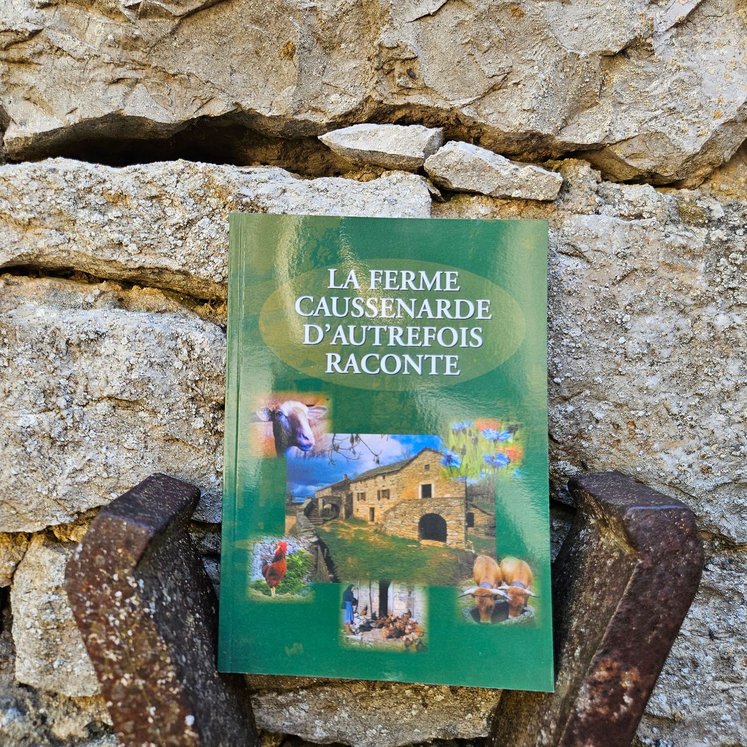 Livre La Ferme Caussenarde d'Autrefois Raconte Livre La Ferme Caussenarde d'Autrefois Raconte