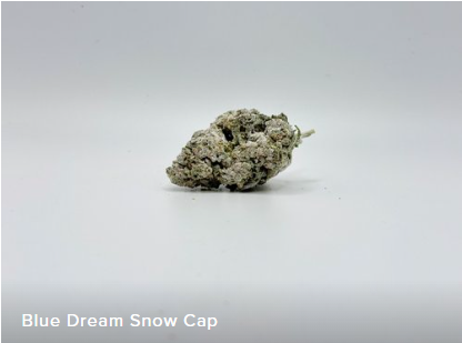 THCA - Snowcaps - Blue Dream (69%) #250 #2725
