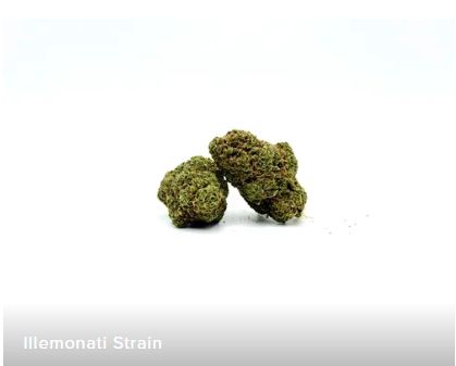 THCA - Small Flower - Illemonati